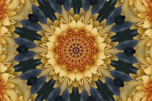 Why Yellow Floral Kaleidoscope Is Reshaping Modern Visual Strategy